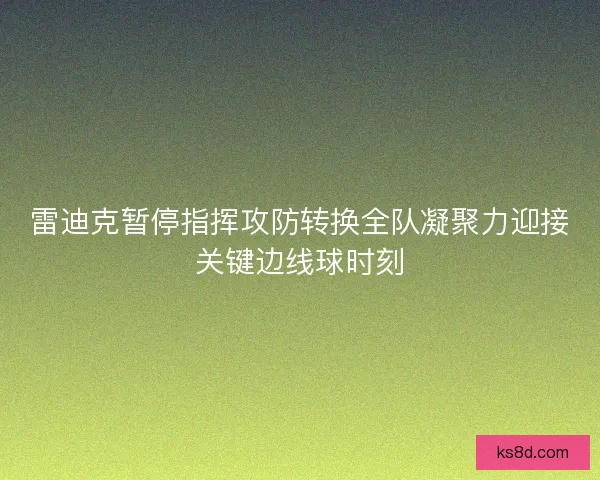 雷迪克暂停指挥攻防转换全队凝聚力迎接关键边线球时刻