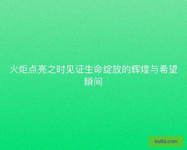 火炬点亮之时见证生命绽放的辉煌与希望瞬间